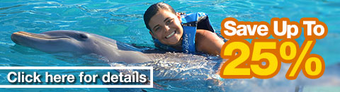 Dolphin Swims Discounts
