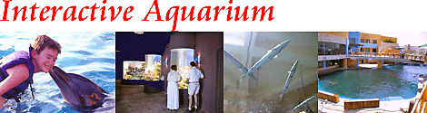 Cancun Interactive Aquarium - Cancun Aquarium Discounts