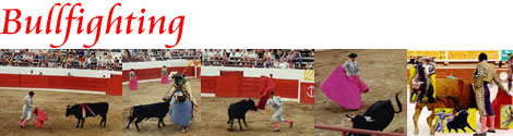Cancun Bullfighting Discounts
