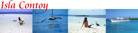 Isla Contoy Tour