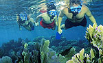 Snorkeling Puerto Morelos