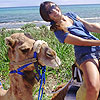 Cancun Horseback Riding