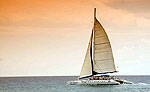 60' Catamaran Cancun