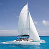 Private Snorkeling Tour