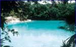 Cenotes Snorkeling