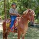 Horseback Riding