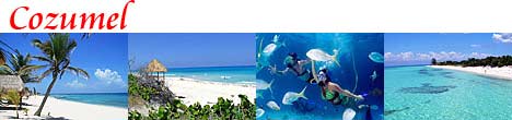 Sightseing Tours Cozumel