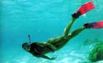 Cozumel Snorkeling