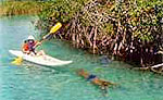 Kayaking Cozumel