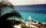 Cozumel Tour