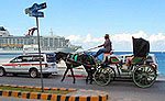 Cozumel Tour