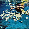 Private Snorkeling Tour in Cozumel
