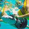 Power Snorkeling Cozumel