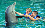 Dolphin Swimming at Aquarium Cancun