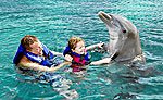 Aquarium Cancun Dolphin Program for Couples