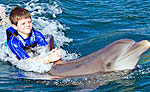 Playa del Carmen Dolphin Swim & Ride