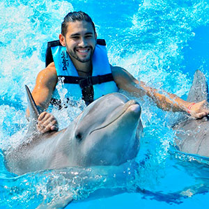 Dolphin Swim & Ride Riviera Maya