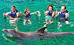 Xel Ha Dolphins Interax Swim