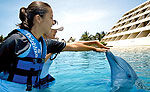 Trainer for a Day Cancun Dolphins