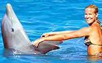 Dolphin Trainer for a Day in Cozumel