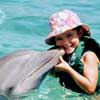 Cozumel Dolphins