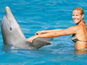 Dolphin Trainer for a Half-Day Cancun