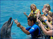 Cancun Dolphin Trainer