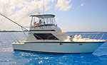 Cozumel Fishing