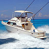 Fishing in Cancun