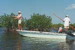 Costa Maya Fly Fishing