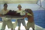 Cozumel Deep Sea Fishing