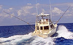 Mayan Riviera Boat Charter