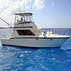 Riviera Maya Fishing