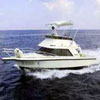 Cozumel Deep Sea Fishing