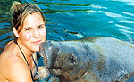 Manatees in Cancun