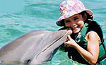 Dolphin Swim Adventure - Garrafon Park