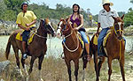 Horseback Riding in Cancun Mexico