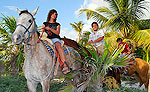 Playa del Carmen Horseback Riding