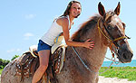 Playa del Carmen Horseback Riding