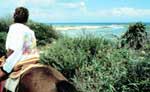 Horseback Riding Tour