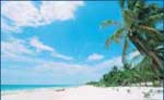Isla Mujeres Tour