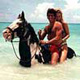 Horseback Riding