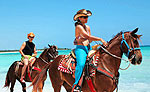 Horseback Riding Tour