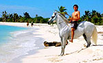 Riviera Maya Horseback Riding