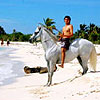 Horseback Riding Tour