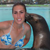 Swim With Seals