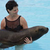 Swimming with Sea Lions
