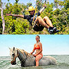 Horseback Riding and Zip Lines