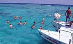 Cancun Snorkeling Tour