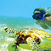 Akumal Yal Ku